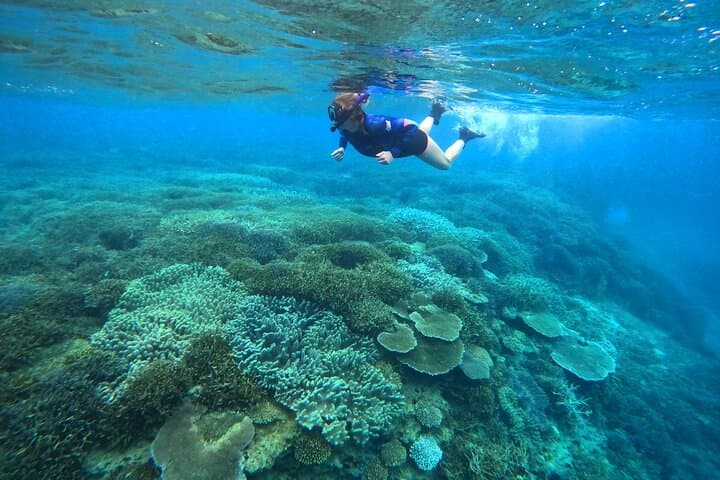 Okinawa - Kayak & Snorkel Private Tour in Yanbaru (North Okinawa) — photo 6
