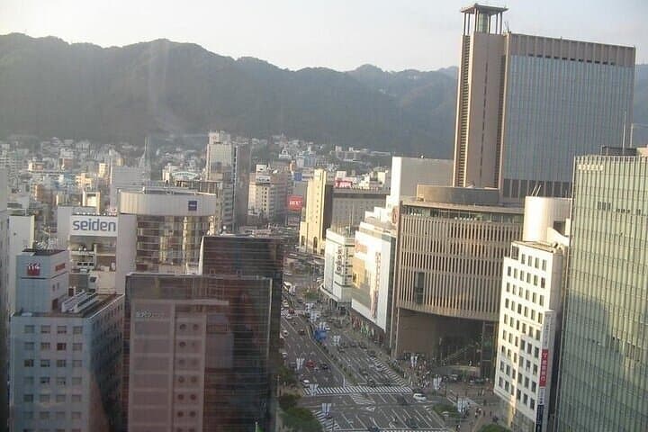 Half-Day Private Guided Tour to Kobe City — photo 4
