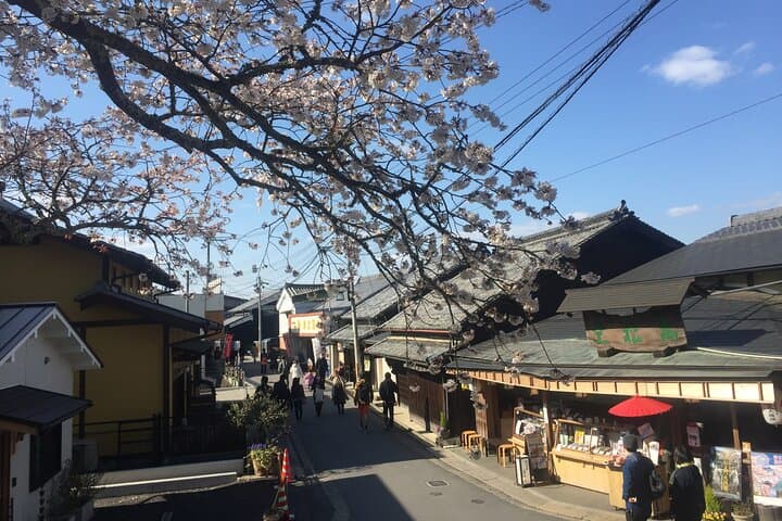 Cherry Blossom Buddha and Mt.Yoshino with Strawberry Picking Tour — photo 9