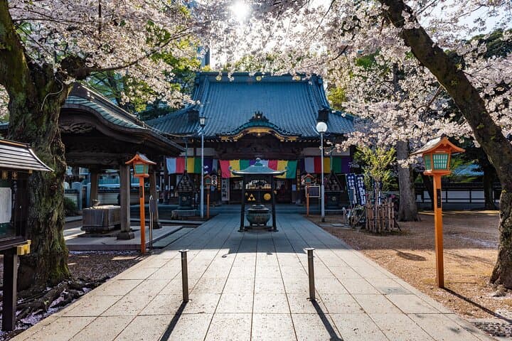 Kawagoe 6hr Private Tour with Licensed Guide (Tokyo/Kawagoe dep) — photo 14