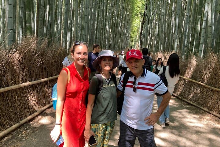Kyoto Arashiyama & Sagano Bamboo Private Tour with Government-Licensed Guide — photo 19