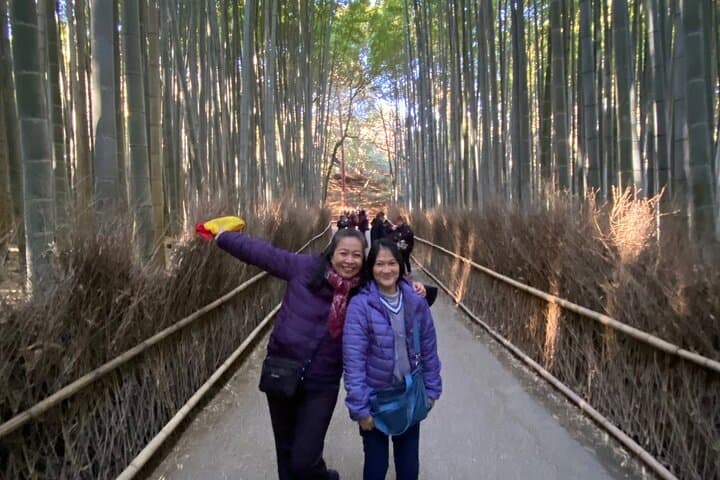 Kyoto Arashiyama & Sagano Bamboo Private Tour with Government-Licensed Guide — photo 20