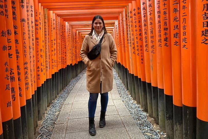 Kyoto Private 6 hour Tour: English Speaking Driver Only, No Guide — photo 17