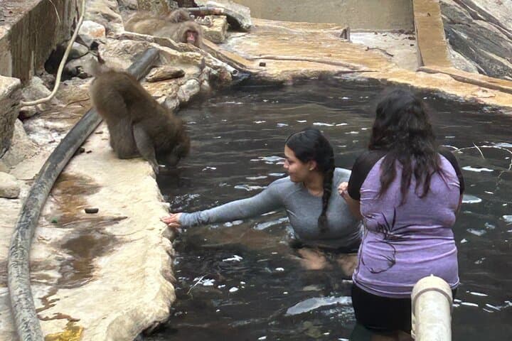 Full Day Snow Monkey Park Tour, From/To Tokyo, 2-12 guests — photo 1
