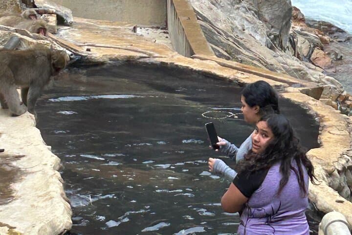 Full Day Snow Monkey Park Tour, From/To Tokyo, 2-12 guests — photo 2