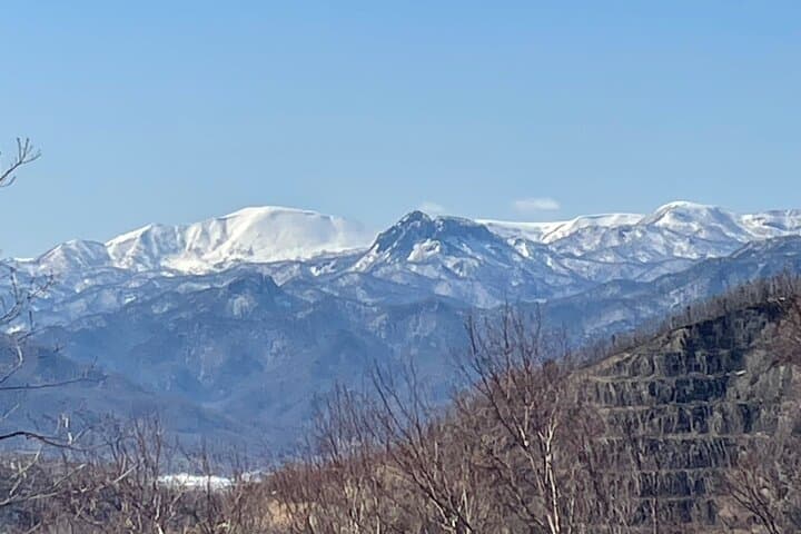 Full Day Snowshoeing Adventures with Onsen. — photo 2