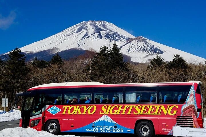 Mt. Fuji & Hakone Bus Tour Bullet Train Return & 28-Hotel Pick-up — photo 2