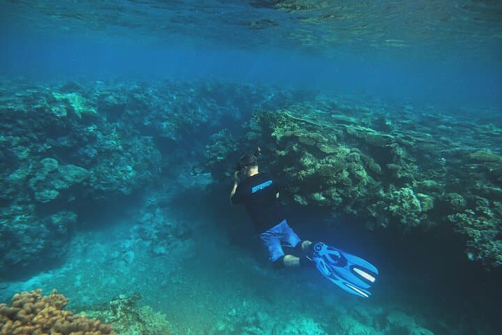 Okinawa - Kayak & Snorkel Private Tour in Yanbaru (North Okinawa) — photo 20