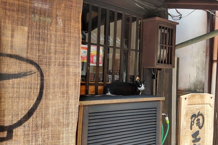 Take a Stroll Back in time at Takehara, Hiroshima's Little Kyoto — photo 11