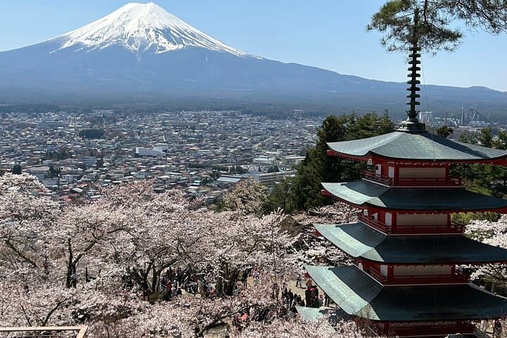 One Way Shuttle Van Transfer, Tokyo⇔Yamanashi(Mt.Fuji) — photo 3