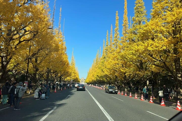 Exclusive Tokyo City and Kawagoe City Private Day Tour — photo 6