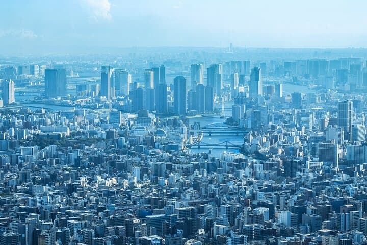 Full Day Tokyo Private Tour by Luxury Vehicle — photo 6