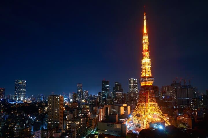 Full Day Tokyo Private Tour by Luxury Vehicle — photo 5