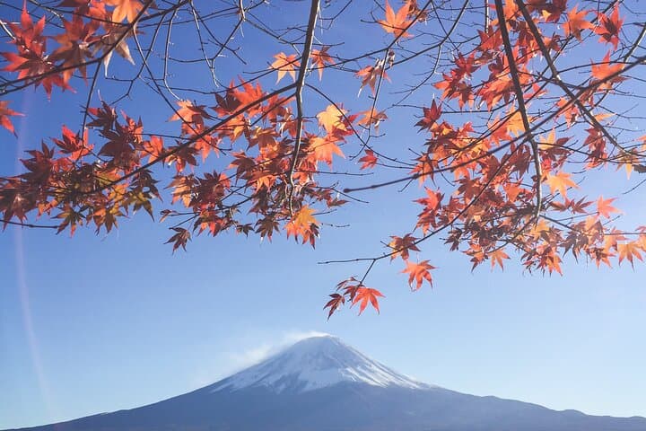 Full Day Private Tour to Mt Fuji by Luxury Vehicle — photo 2