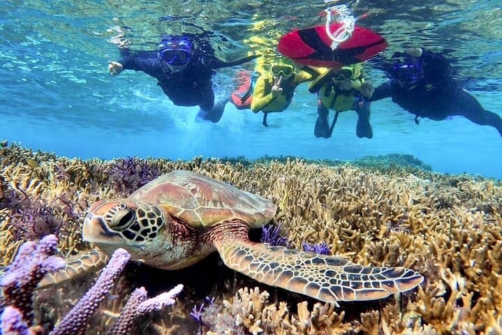 Okinawa Miyako 3set Beach SUP, Snorkeling,Pumpkin Cave,Canoeing — photo 4