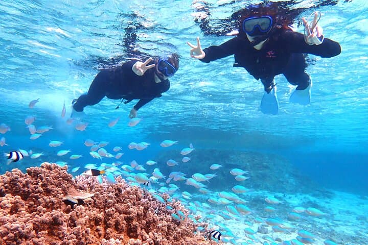 [Miyako Island/Full Day] Sea Turtle Snorkeling & SUP or Canoe — photo 2