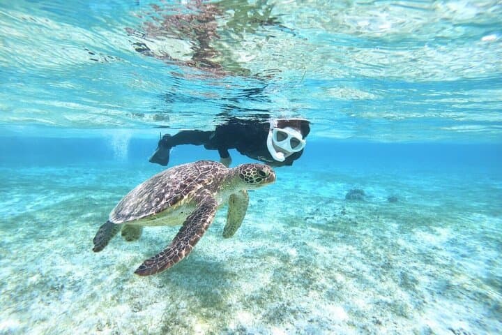 Okinawa Miyako Beach SUP or Canoe and sea turtle Snorkeling — photo 4