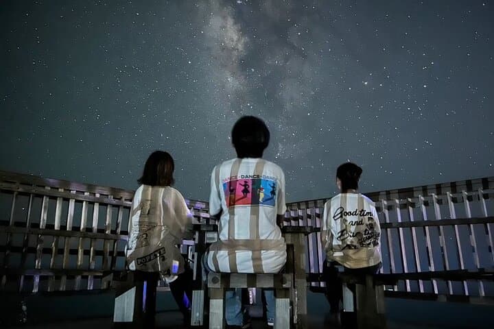 Miyako Island Night Tour Jungle Adventure Stargazing and Wildlife — photo 8