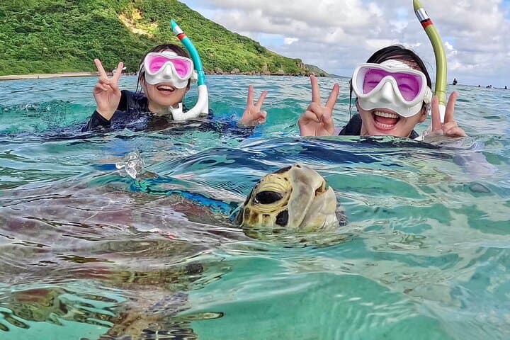 [Miyako Island/Half Day] Sea Turtle Snorkeling — photo 8