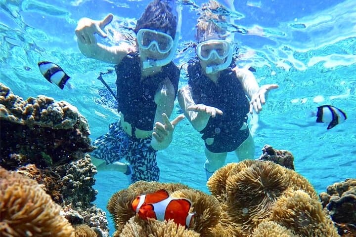 [Miyako Island/Half Day] Sea Turtle Snorkeling — photo 2