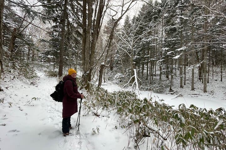 Snowshoeing and Onsen Adventures in a Winter Wonderland -Sapporo. — photo 4