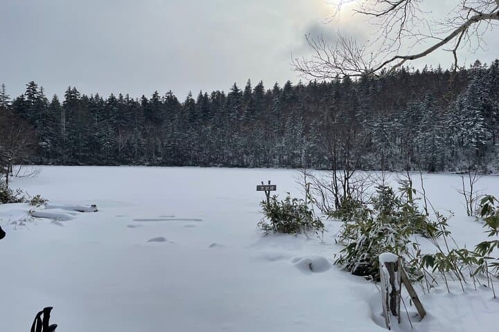 Full Day Snowshoeing Adventures with Onsen. — photo 3