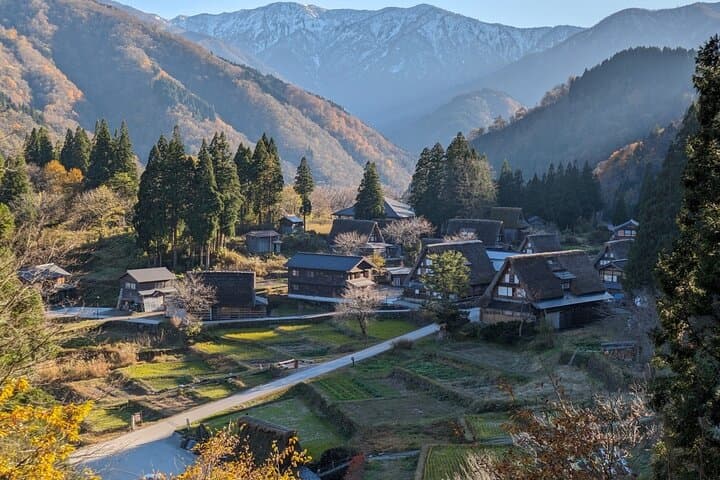 From Kanazawa: Shirakawa-go, Gokayama and Wood Carving Village — photo 8