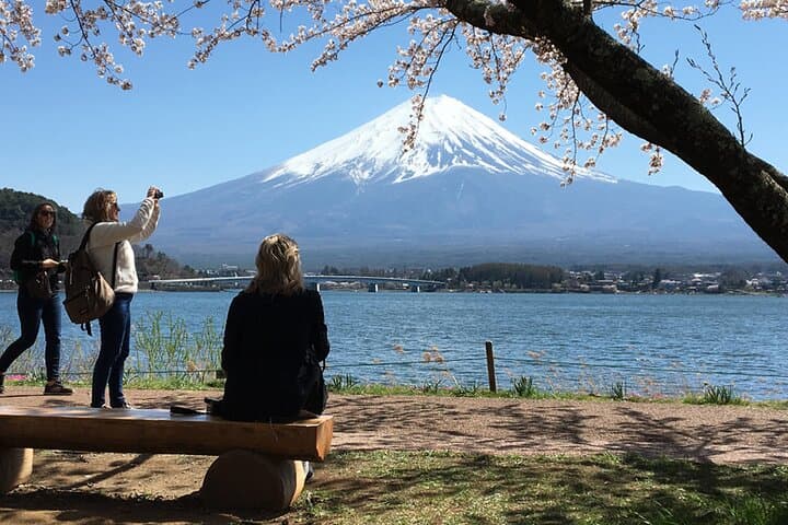 Mt Fuji Private Day Tour from Tokyo with English Speaking Driver