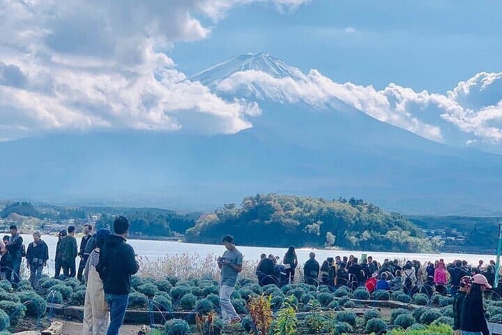 Mt Fuji Private Day Tour from Tokyo with English Speaking Driver — photo 5