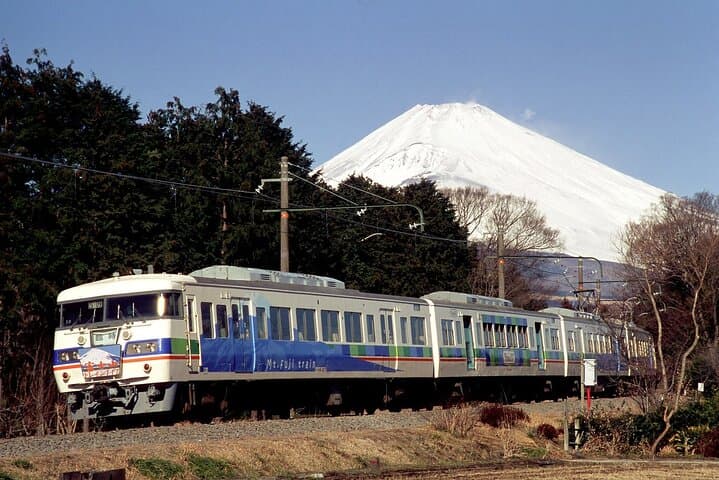 Mt Fuji Private Day Tour from Tokyo with English Speaking Driver — photo 14