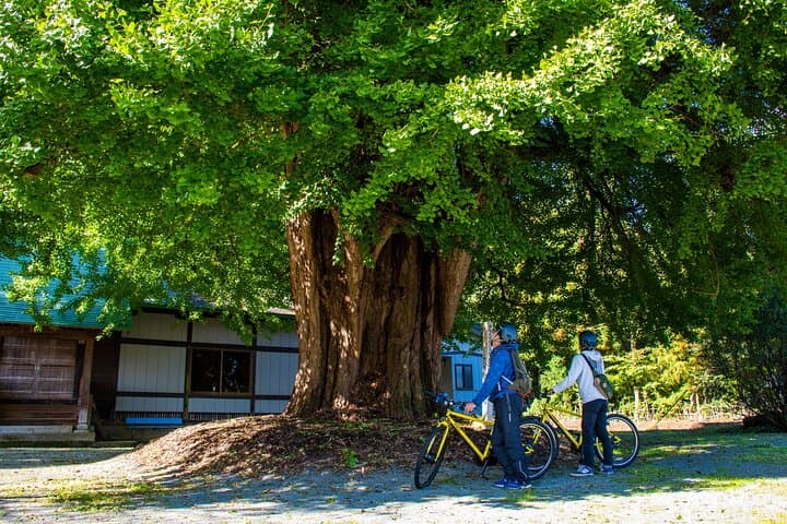 3 Hour Cycling Tour in Kakunodate — photo 6