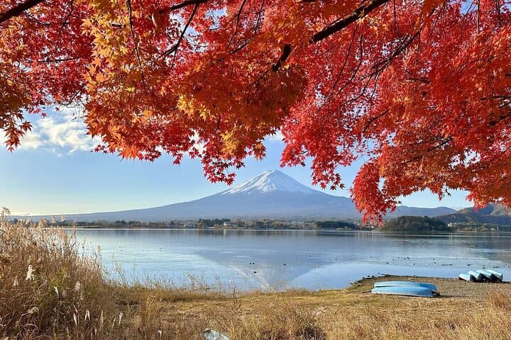 Private Tour to Mt Fuji, Lake Kawaguchi with Limousine and Driver — photo 5