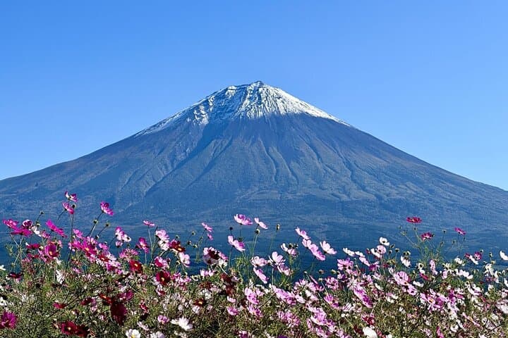 Private Tour to Mt Fuji, Lake Kawaguchi with Limousine and Driver — photo 4