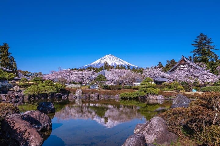 Private Tour to Mt Fuji, Lake Kawaguchi with Limousine and Driver — photo 3