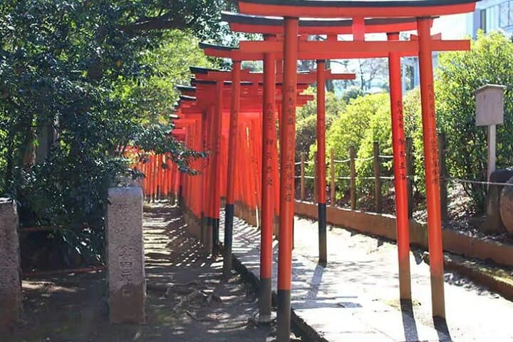 Yanaka Old Town Japanese Sweets Food Walk Private Tour — photo 17