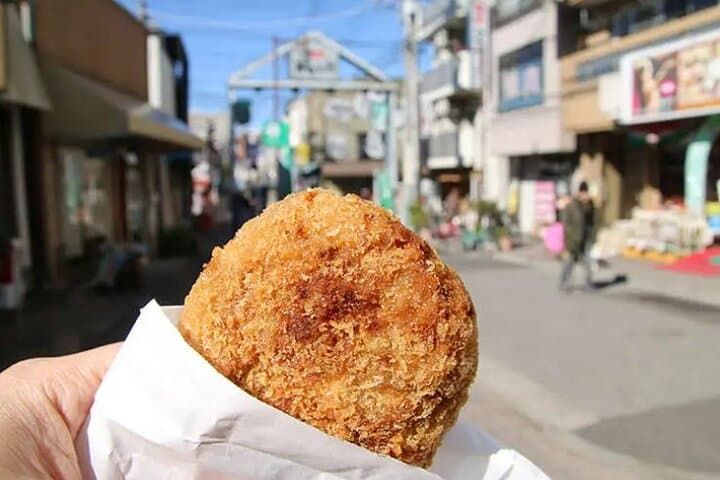 Yanaka Old Town Japanese Sweets Food Walk Private Tour — photo 11