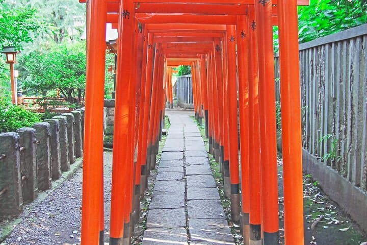 Yanaka Old Town Japanese Sweets Food Walk Private Tour — photo 18