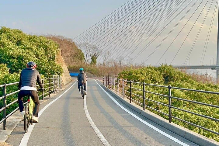 6 Hour Private E bike Tour on Omishima — photo 5