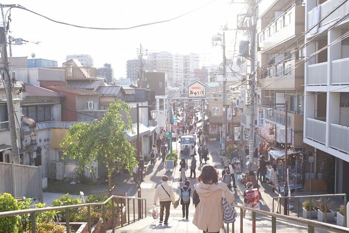 Yanaka Walking Tour: Historic and Traditional District of Tokyo — photo 13
