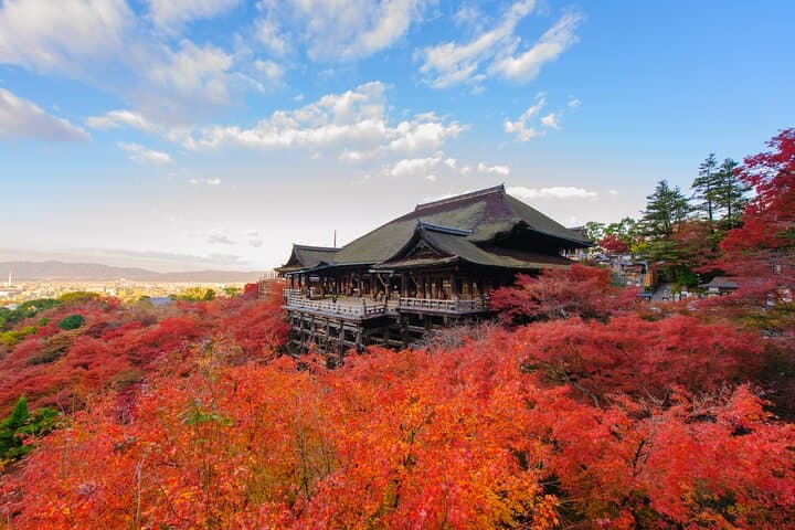 Kyoto Private Customizable Half Day Tour — photo 6