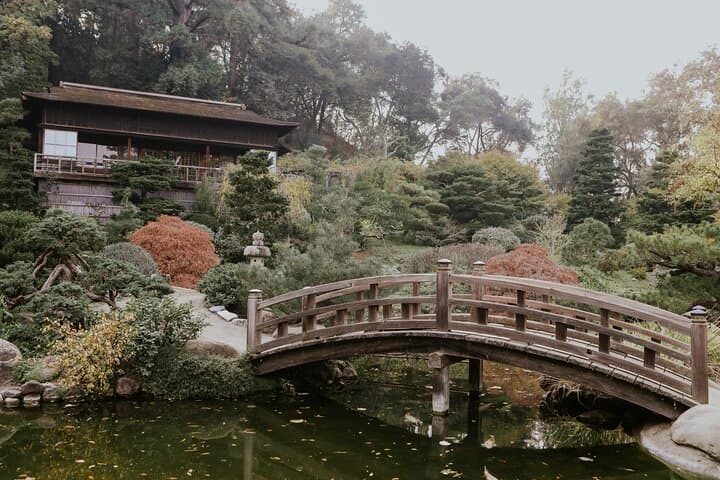 4-Day Exploration: Tokyo & Mount Fuji — photo 11