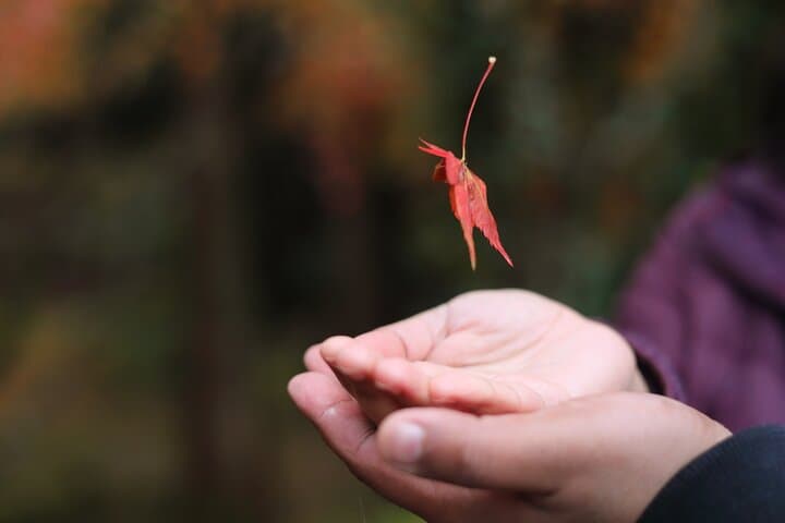 Fukui private full day/Photoshoot by professional photographer — photo 13
