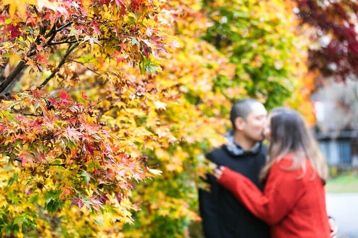 Gokayama and Shirakawago/Photoshoot by professional photographer — photo 7