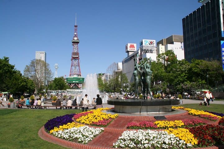 Private Video Tour in Park Symbolic of Sapporo — photo 4