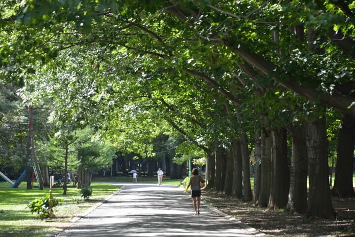 Private Video Tour in Park Symbolic of Sapporo — photo 6