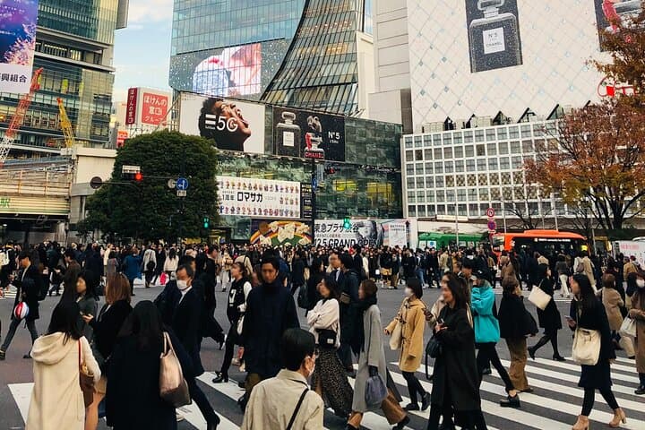 Tokyo Morning City Tour with Pick-up Service from 28 Hotels — photo 4