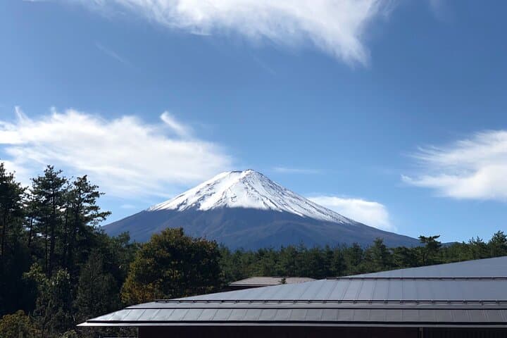 Mt. Fuji & Hakone Bus Tour Bullet Train Return & 28-Hotel Pick-up — photo 7