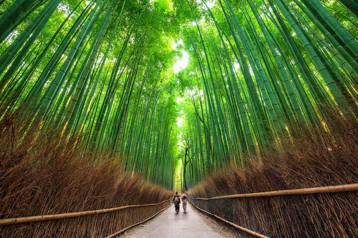 Kyoto Arashiyama Bamboo Forest & Scenery Customized Private Tour — photo 20