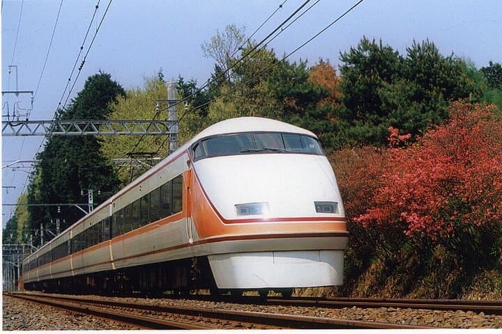 From Tokyo to Nikko: Limited Express Tickets with Souvenir — photo 8