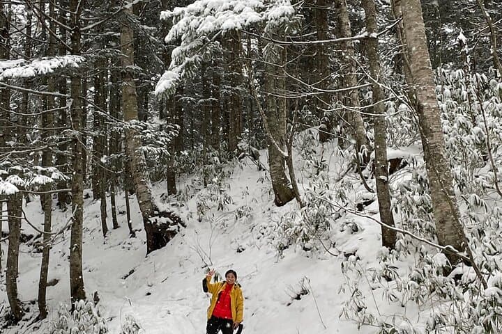 Full Day Snowshoeing Adventures with Onsen. — photo 10